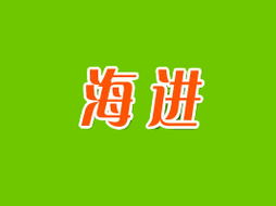 临渭区海进食品厂开启广州市场新篇章 代理商李海静的开拓之路与区域战略