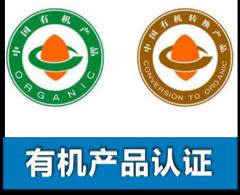 承德保险代理公司 专业代理代办服务全面解析